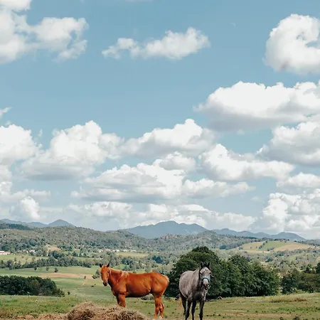 홀리데이파크 Ds Grgar