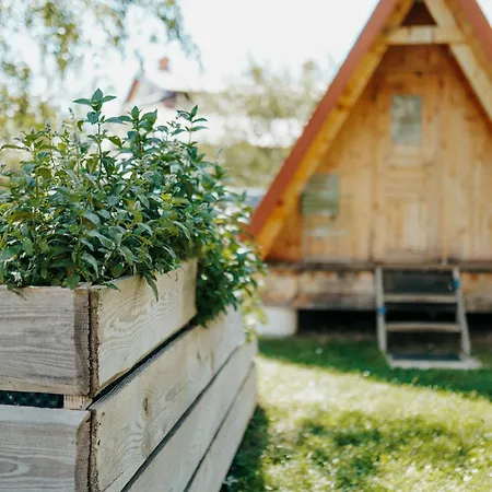 Ds 홀리데이파크 Grgar