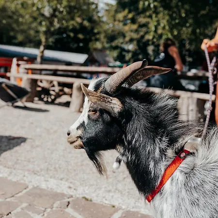 홀리데이파크 Ds *