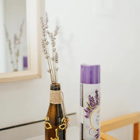 Ds 홀리데이파크 *