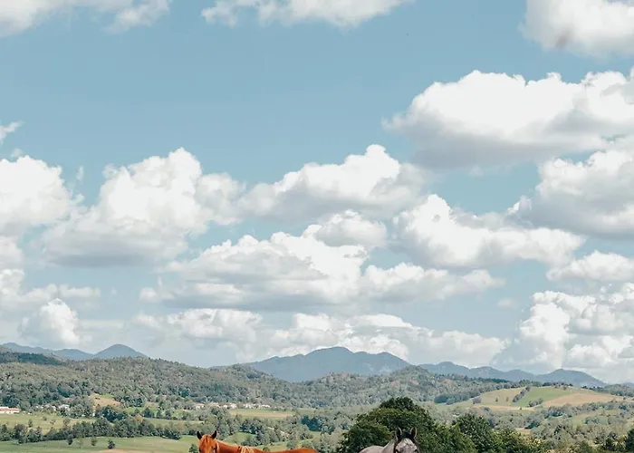 Parco vacanze Ds Grgar